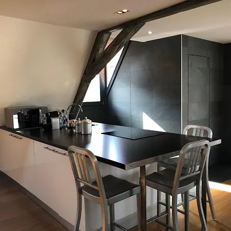 Duplex 15 * 科尔马