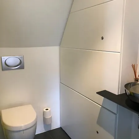 公寓 Duplex 15 科尔马