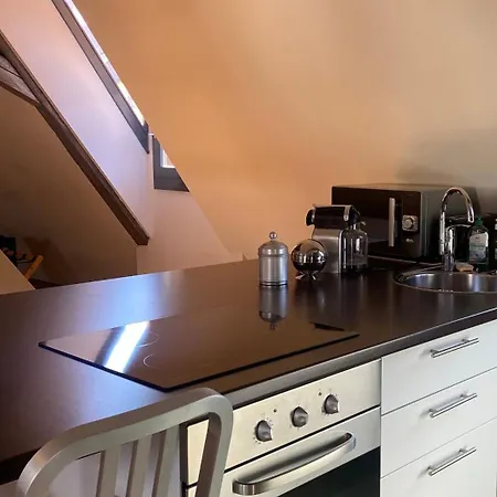 公寓 Duplex 15 科尔马