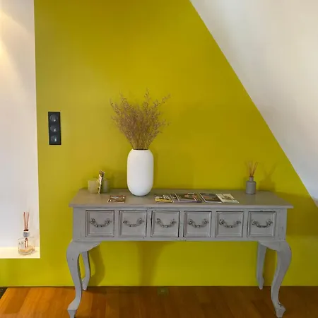 Duplex 15 公寓 科尔马