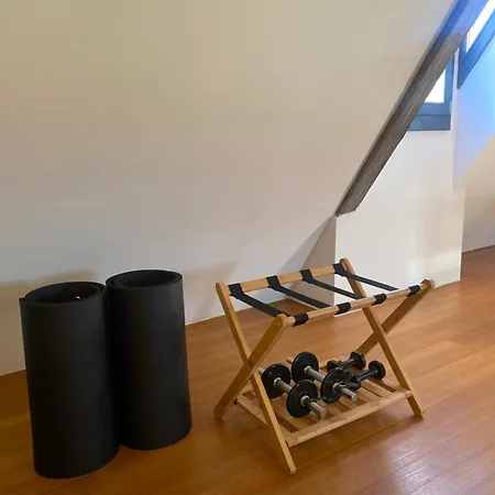 Duplex 15 科尔马