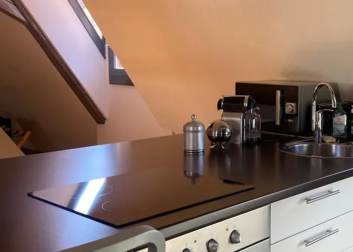 Apartment Duplex 15 Colmar