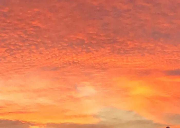 Duplex 15 Apartment Colmar